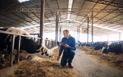 Cómo la gestión eficiente y la tecnología están revolucionando las establecimientos lecheros 