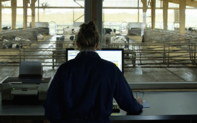 Inteligencia Artificial en la Ganadería: cómo la IA está revolucionando la productividad, la salud animal y la sostenibilidad en el campo 