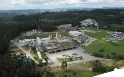 Planificación y control de producción en fábricas de alimento balanceado 