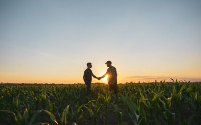 Formación de liderazgos en las fincas: cómo desarrollar equipos más productivos y comprometidos