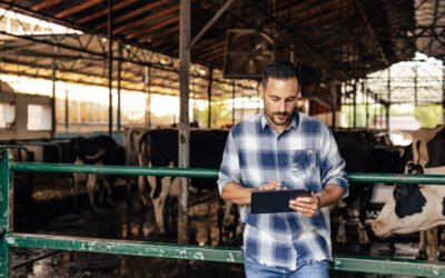 Indicadores zootécnicos en la práctica: cómo transformar datos en decisiones más rentables en la ganadería