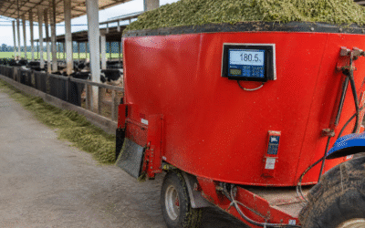 Armado del carro mezclador en la ganadería lechera