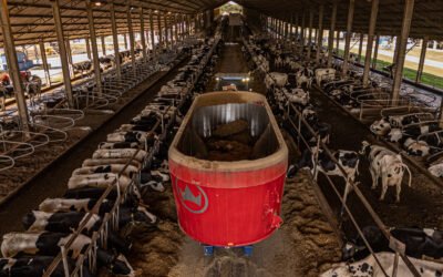 Gestión del tambo en Paraguay: más leche con datos
